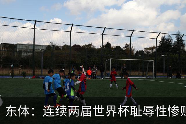 东体：连续两届世界杯耻辱性惨败后，德国队要为自身名誉而战