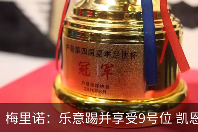 梅里诺：乐意踢并享受9号位 凯恩与我风格相似2优1劣