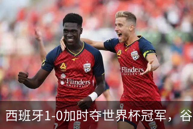 西班牙1-0加时夺世界杯冠军，谷歌Gemini成AI预测唯一失误模型