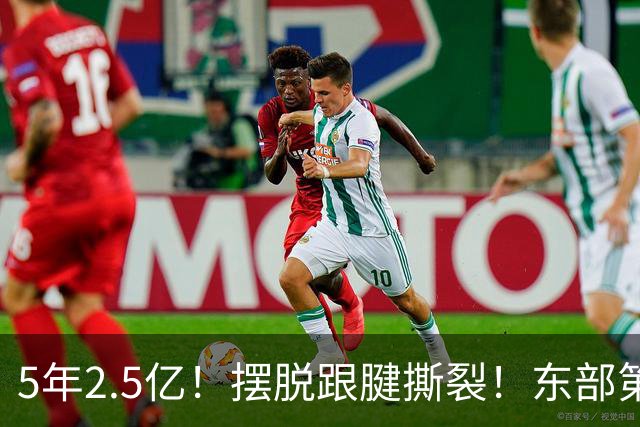 5年2.5亿！摆脱跟腱撕裂！东部第一组织控卫